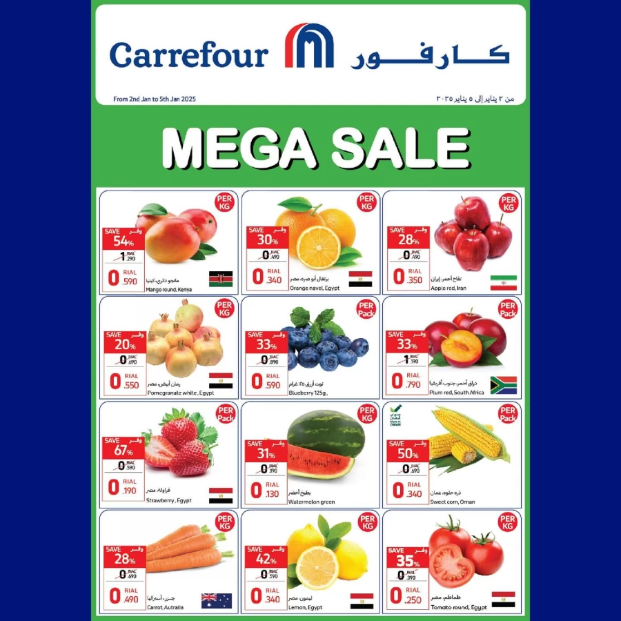 Mega Sale 2-5 January 2025