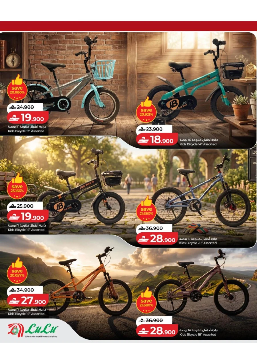 Lulu Great Bicycle Offer