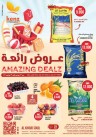 Kenz Amazing Deals
