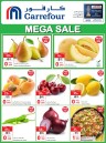 Carrefour Mega Sale Shopping