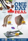 One Day Deal 30 January 2024