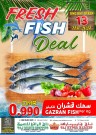 One Day Offer 13 February 2024