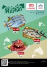Fish Market 19-21 February 2024