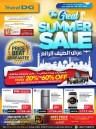 The Great Summer Sale