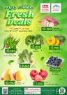 Fresh Deal 25-27 November 2024